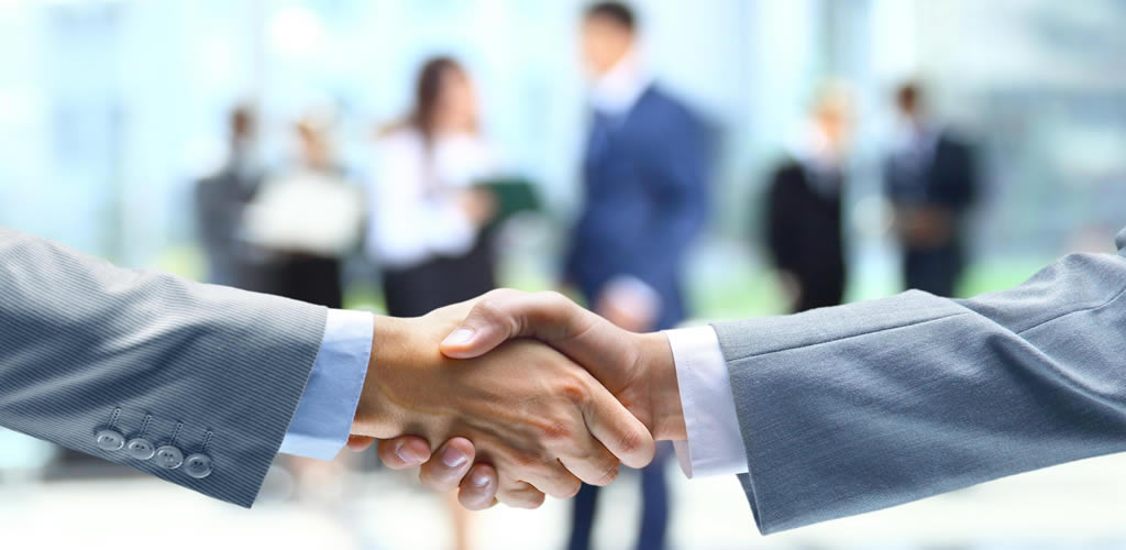 Seguro Auto: Coberturas Essenciais e Como Escolher o Melhor